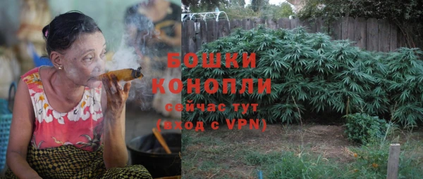 стаф Баксан