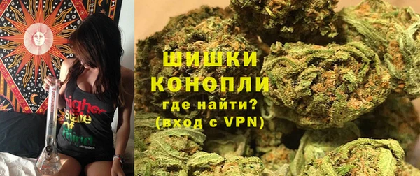 спайс Арсеньев