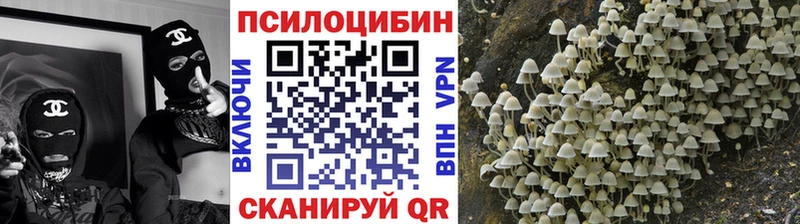 Псилоцибиновые грибы мухоморы  Дыгулыбгей 