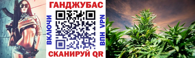 Шишки марихуана сатива  мега рабочий сайт  Дыгулыбгей 